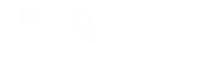 ORGANIZAÇÃO Image